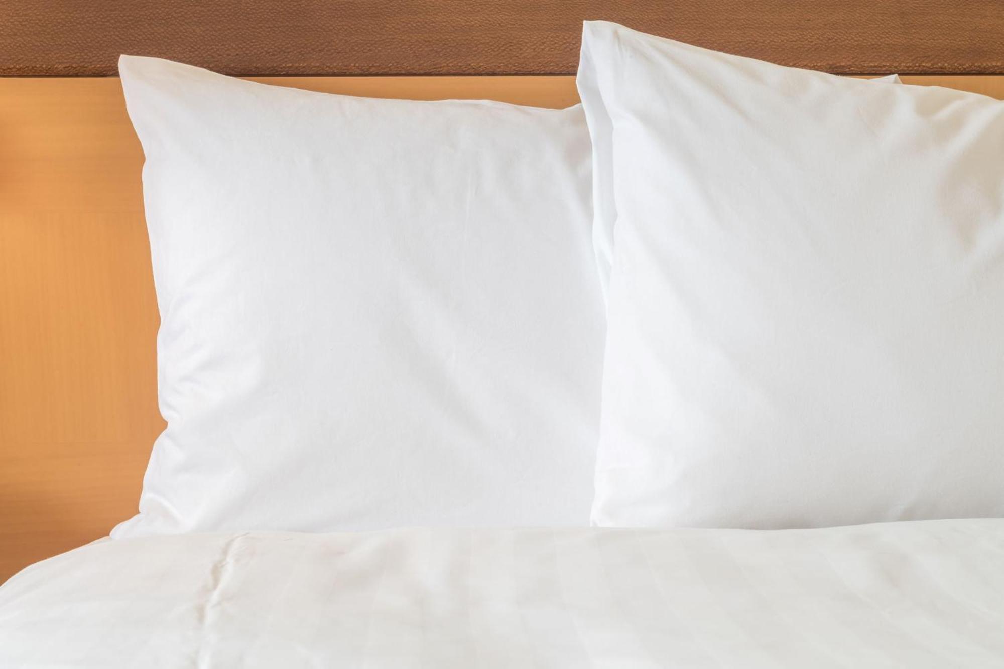 Holiday Inn Express - Bowling Green By Ihg Extérieur photo